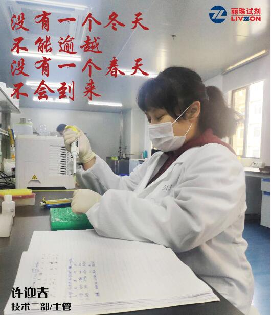 Xu Yingchun Technical Department II / Supervisor