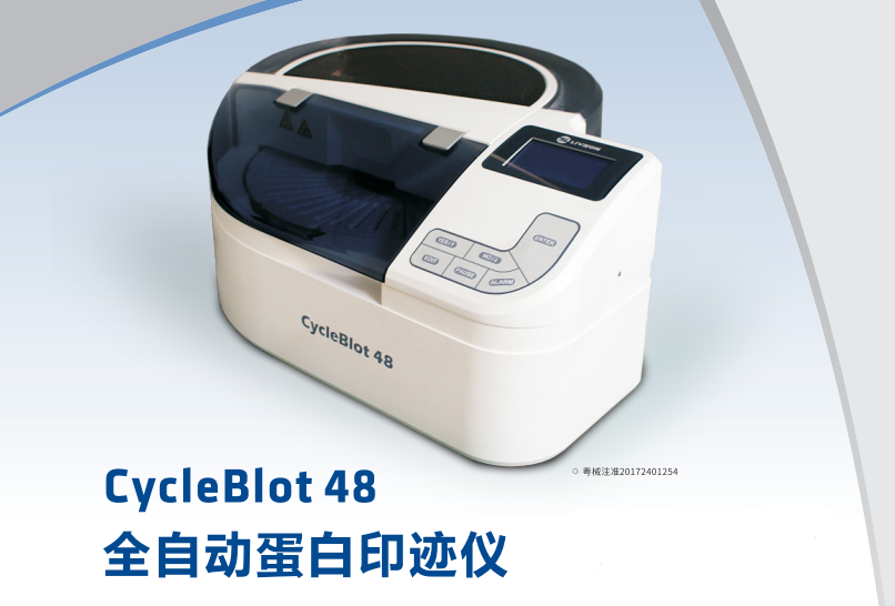 CycleBlot48全自动蛋白印迹仪