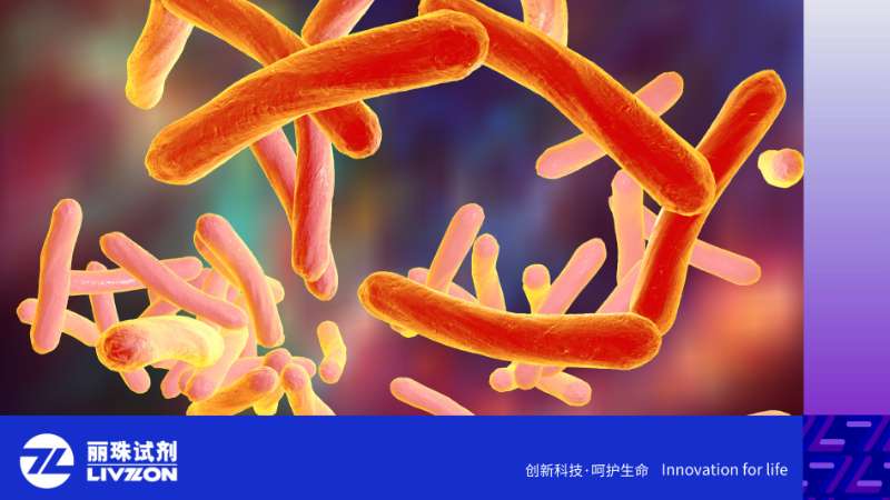 一文读懂 γ-干扰素释放试验（IGRA）：简单抽血，搞定结核潜伏感染排查