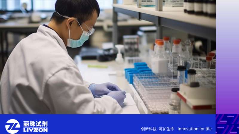 抗核抗体阳性 = 难怀孕？反复胎停、试管失败，可能是它在 “搞鬼”！