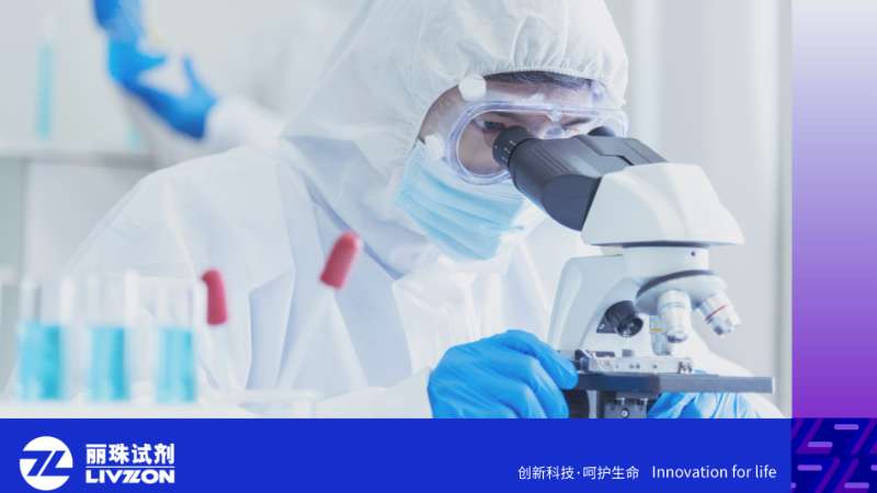 一文读懂细菌性阴道炎（BV）：检测方法、病因及注意事项全汇总